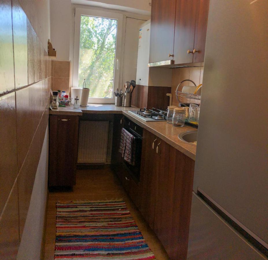 Cozy Apartment Bukovina 수체아바 외부 사진